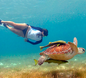 Maldives